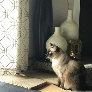 Meet your Posher, D!